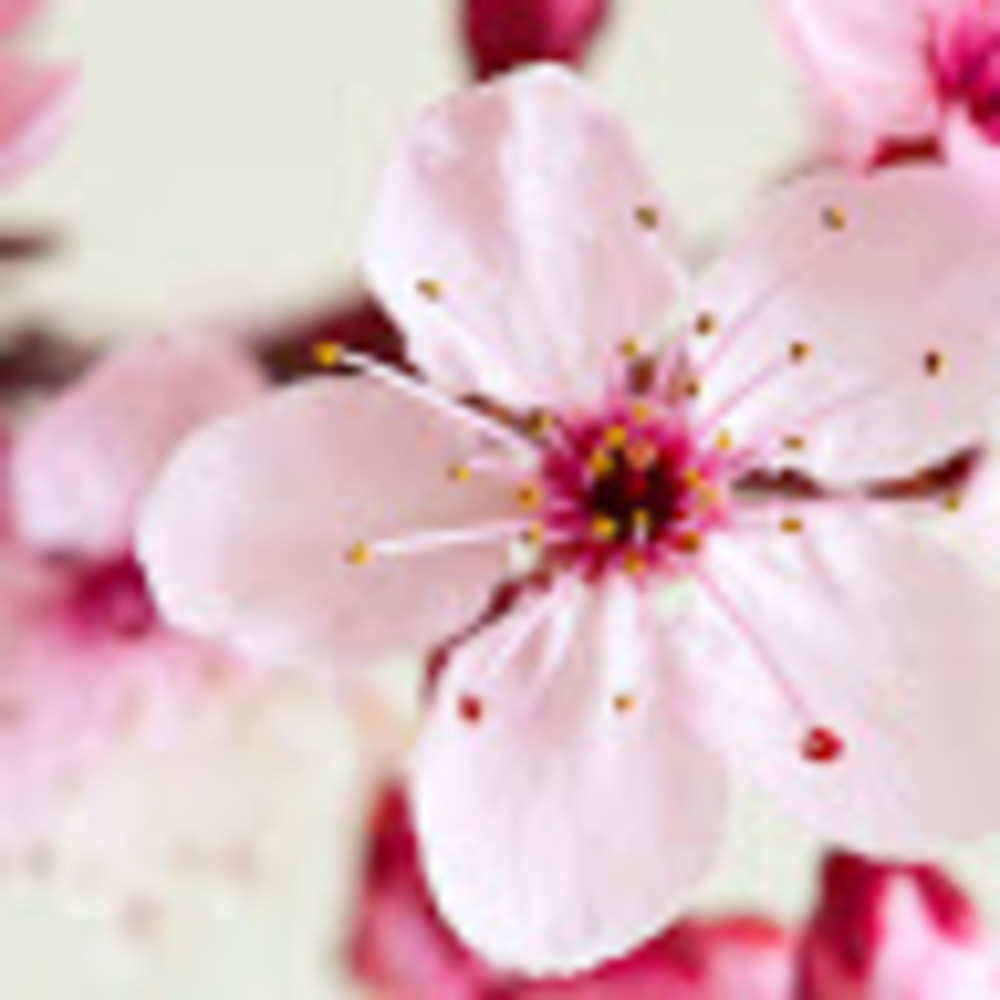 Meet your Posher, Beverly